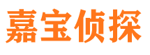 柳河侦探公司